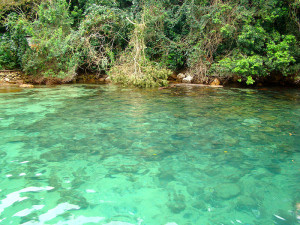 Ilha Grande.