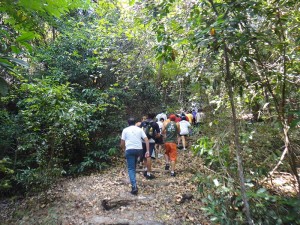 Parque das Dunas.