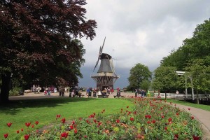 Moinho de vento e tulipas no Keukenhof (Holanda)