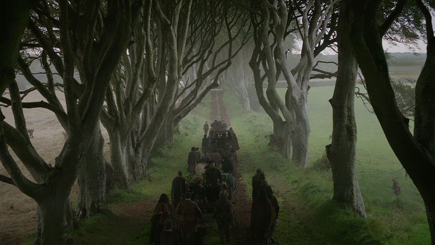 Dark Hedges: estrada por onde Arya fugiu vestida de menino