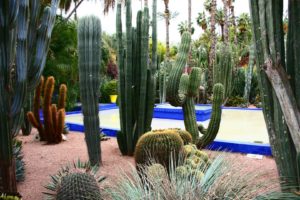 Jardin Majorelle