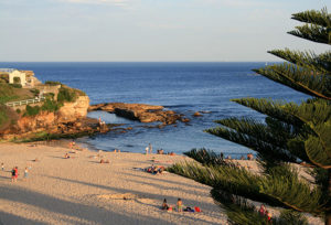 Trilha entre praias de Sydney.