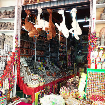 Mercado das Bruxas: Lhamas empalhados y otras cositas más