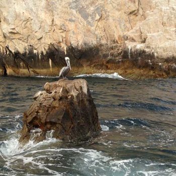 Cabo San Lucas (México)